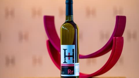 Ryzlink rýnský N 2019