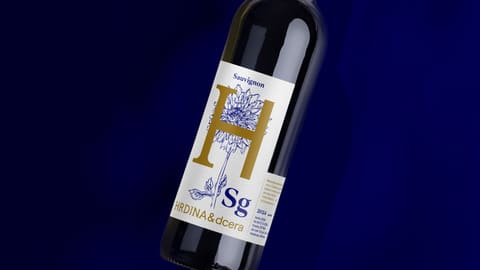 Sauvignon 2024